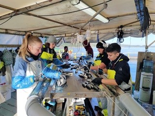 Norveški studenti učili o hrvatskoj akvakulturi u sklopu projekta COADVANCe